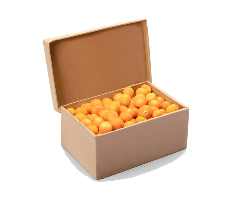 Trái tầm bóp bóc vỏ